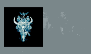 Electric Fence&colon; 'Motorkiller'