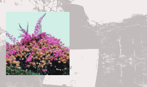 Jay Som&colon; 'Turn Into'