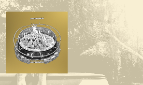 Chad VanGaalen&colon; 'Light Information'