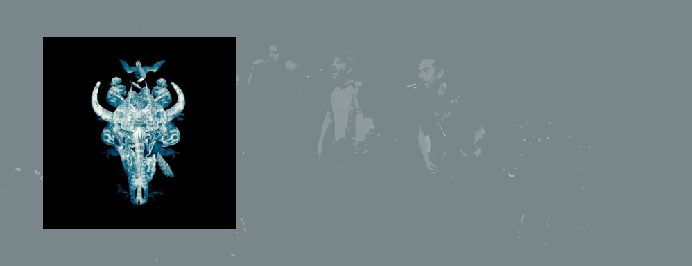 Electric Fence&colon; 'Motorkiller'